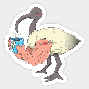 Anchor Arms Ibis Sticker